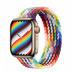 Apple Watch Series 7 // 41мм GPS + Cellular // Корпус из нержавеющей стали золотого цвета, плетёный монобраслет радужного цвета