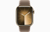 Apple Watch Series 9 // 45мм GPS+Cellular // Корпус из нержавеющей стали золотого цвета, браслет серо-коричневого цвета, размер S/M