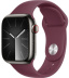 Apple Watch Series 9 // 45мм GPS+Cellular // Корпус из нержавеющей стали графитового цвета, спортивный ремешок цвета "шелковица"