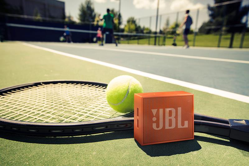 JBL GO Gray