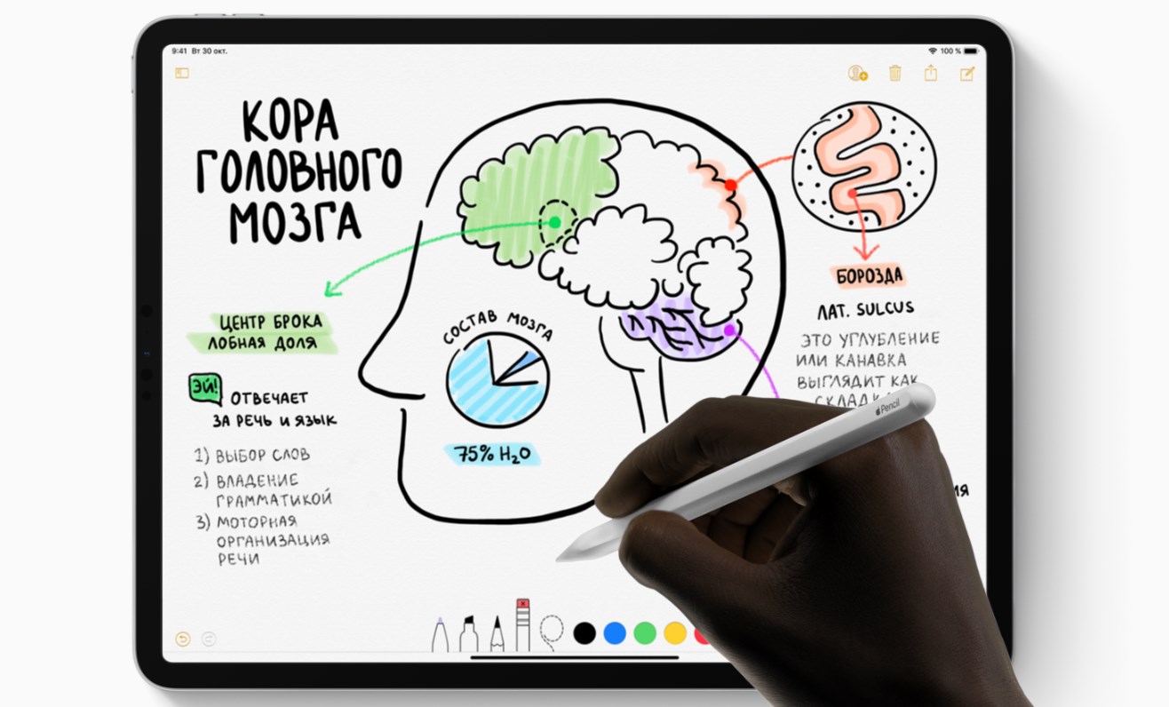 Apple Pencil теперь распознаёт ваши прикосновения