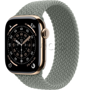 Купить Apple Watch Series 11 // 46мм GPS+Cellular // Корпус из титана золотого цвета, плетеный монобраслет серо-зеленого цвета
