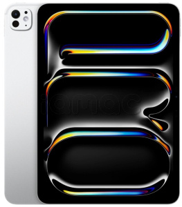 Купить iPad Pro 13" (2025) 256gb / Wi-Fi + Cellular / Silver (standard glass)