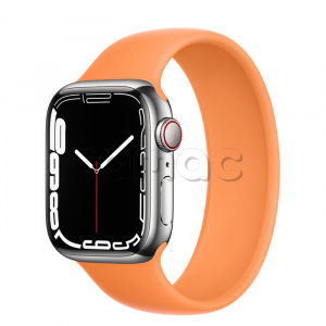 Купить Apple Watch Series 7 // 41мм GPS + Cellular // Корпус из нержавеющей стали серебристого цвета, монобраслет цвета «весенняя мимоза»