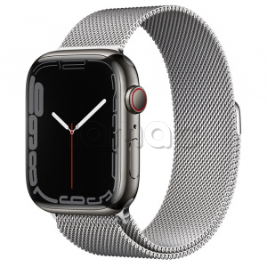 Купить Apple Watch Series 7 // 45мм GPS + Cellular // Корпус из нержавеющей стали графитового цвета, миланский сетчатый браслет серебристого цвета