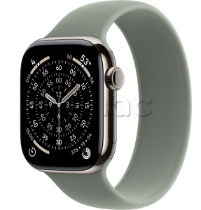 Купить Apple Watch Series 11 // 46мм GPS+Cellular // Корпус из титана нейтрального цвета, монобраслет серо-зеленого цвета