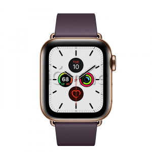 Купить Apple Watch Series 5 // 40мм GPS + Cellular // Корпус из нержавеющей стали золотого цвета, ремешок цвета «спелый баклажан» с современной пряжкой (Modern Buckle), размер ремешка L