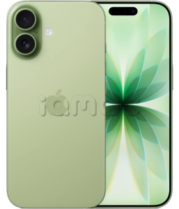 Купить iPhone 17, 256Гб, Sage/Зеленый шалфей (Dual SIM) (без RuStore)