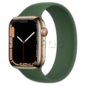 Купить Apple Watch Series 7 // 45мм GPS + Cellular // Корпус из нержавеющей стали золотого цвета, монобраслет цвета «зелёный клевер»