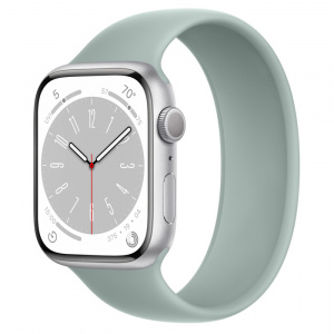 Apple Watch Series 8 // 45мм GPS // Корпус из алюминия серебристого цвета, монобраслет цвета "суккулент"
