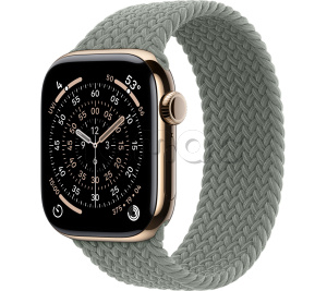 Купить Apple Watch Series 11 // 42мм GPS+Cellular // Корпус из титана золотого цвета, плетеный монобраслет серо-зеленого цвета