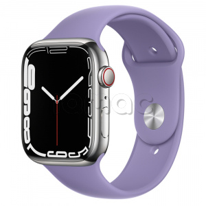 Купить Apple Watch Series 7 // 45мм GPS + Cellular // Корпус из нержавеющей стали серебристого цвета, спортивный ремешок цвета «английская лаванда»