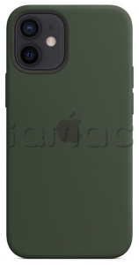 Силиконовый чехол MagSafe для iPhone 12, цвет «Кипрский зелёный»