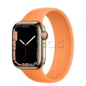 Купить Apple Watch Series 7 // 41мм GPS + Cellular // Корпус из нержавеющей стали золотого цвета, монобраслет цвета «весенняя мимоза»