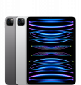 Купить iPad Pro 11" (2024/2022/2021)