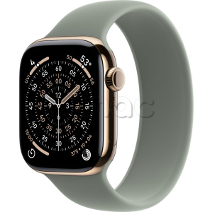 Купить Apple Watch Series 11 // 46мм GPS+Cellular // Корпус из титана золотого цвета, монобраслет серо-зеленого цвета