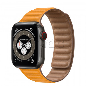 Купить Apple Watch Series 6 // 40мм GPS + Cellular // Корпус из титана цвета «черный космос», кожаный браслет цвета «Золотой апельсин», размер ремешка M/L