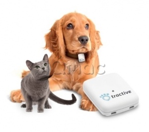 Купить Ошейник для животных Tractive GPS Pet Tracking