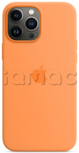 Силиконовый чехол MagSafe для iPhone 13 Pro Max, цвет «весенняя мимоза»