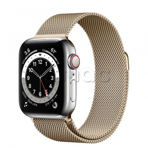 Купить Apple Watch Series 6 // 40мм GPS + Cellular // Корпус из нержавеющей стали серебристого цвета, миланский сетчатый браслет золотого цвета