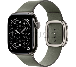 Купить Apple Watch Series 11 // 42мм GPS+Cellular // Корпус из титана сланцевого цвета, ремешок цвета "серый шалфей" с современной пряжкой (Modern Buckle)
