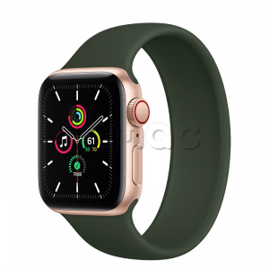 Купить Apple Watch SE // 40мм GPS + Cellular // Корпус из алюминия золотого цвета, монобраслет цвета «Кипрский зелёный» (2020)