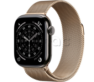 Купить Apple Watch Series 11 // 42мм GPS+Cellular // Корпус из титана сланцевого цвета, миланский сетчатый браслет золотого цвета