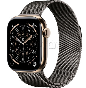 Купить Apple Watch Series 11 // 46мм GPS+Cellular // Корпус из титана золотого цвета, миланский сетчатый браслет сланцевого цвета