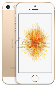 Купить iPhone SE 16Gb Gold