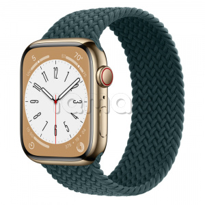 Купить Apple Watch Series 8 // 45мм GPS + Cellular // Корпус из нержавеющей стали золотого цвета, плетёный монобраслет цвета "тропический лес"