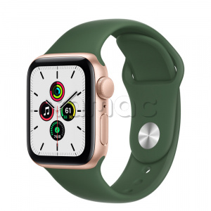 Купить Apple Watch SE // 40мм GPS // Корпус из алюминия золотого цвета, спортивный ремешок цвета «Зелёный клевер» (2020)