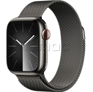 Купить Apple Watch Series 9 // 41мм GPS+Cellular // Корпус из нержавеющей стали графитового цвета, миланский сетчатый браслет графитового цвета