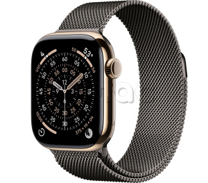Купить Apple Watch Series 11 // 42мм GPS+Cellular // Корпус из титана золотого цвета, миланский сетчатый браслет сланцевого цвета