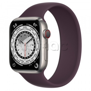 Купить Apple Watch Series 7 // 45мм GPS + Cellular // Корпус из титана, монобраслет цвета «тёмная вишня»