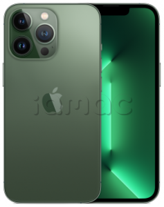 Купить iPhone 13 Pro (Dual SIM) 1Tb Alpine Green / Альпийский зеленый