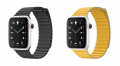 Купить Apple Watch Series 5 EDITION (Корпус из белой керамики) 