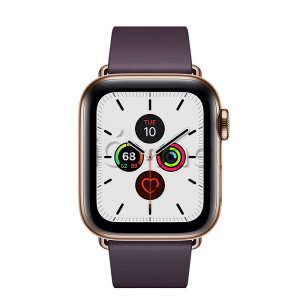 Apple Watch Series 5 // 40мм GPS + Cellular // Корпус из нержавеющей стали золотого цвета, ремешок цвета «спелый баклажан» с современной пряжкой (Modern Buckle), размер ремешка L