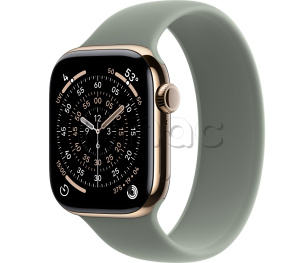 Купить Apple Watch Series 11 // 42мм GPS+Cellular // Корпус из титана золотого цвета, монобраслет серо-зеленого цвета
