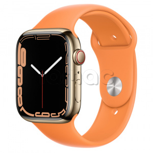 Купить Apple Watch Series 7 // 41мм GPS + Cellular // Корпус из нержавеющей стали золотого цвета, спортивный ремешок цвета «весенняя мимоза»