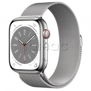 Купить Apple Watch Series 8 // 45мм GPS + Cellular // Корпус из нержавеющей стали серебристого цвета, миланский сетчатый браслет серебристого цвета