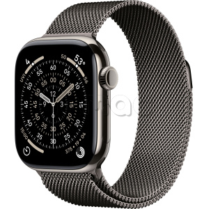 Купить Apple Watch Series 11 // 46мм GPS+Cellular // Корпус из титана натурального цвета, миланский сетчатый браслет сланцевого цвета