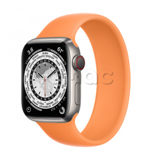 Купить Apple Watch Series 7 // 41мм GPS + Cellular // Корпус из титана, монобраслет цвета «весенняя мимоза»