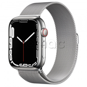 Купить Apple Watch Series 7 // 45мм GPS + Cellular // Корпус из нержавеющей стали серебристого цвета, миланский сетчатый браслет серебристого цвета