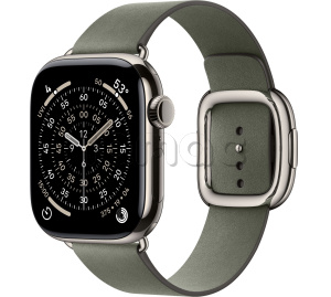 Купить Apple Watch Series 11 // 42мм GPS+Cellular // Корпус из титана нейтрального цвета, ремешок цвета "серый шалфей" с современной пряжкой (Modern Buckle)