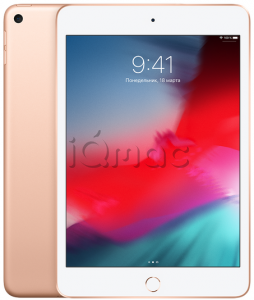 Купить iPad Mini (2019) 256Gb / Wi-Fi / Gold