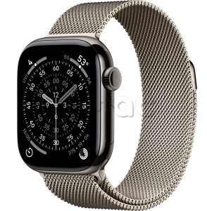 Купить Apple Watch Series 11 // 46мм GPS+Cellular // Корпус из титана сланцевого цвета, миланский сетчатый браслет натурального цвета