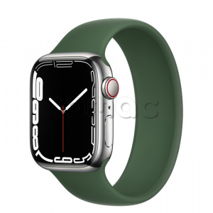 Купить Apple Watch Series 7 // 41мм GPS + Cellular // Корпус из нержавеющей стали серебристого цвета, монобраслет цвета «зелёный клевер»