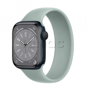 Купить Apple Watch Series 8 // 41мм GPS // Корпус из алюминия цвета "темная ночь", монобраслет цвета "суккулент"