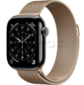 Купить Apple Watch Series 11 // 46мм GPS+Cellular // Корпус из титана сланцевого цвета, миланский сетчатый браслет золотого цвета