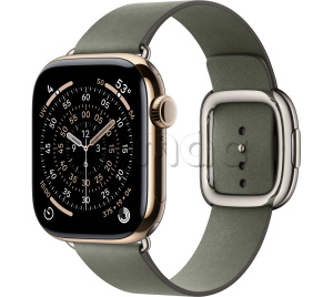 Купить Apple Watch Series 11 // 42мм GPS+Cellular // Корпус из титана золотого цвета, ремешок цвета "серый шалфей" с современной пряжкой (Modern Buckle)